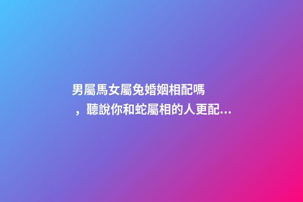 男屬馬女屬兔婚姻相配嗎，聽說你和蛇屬相的人更配哦!甜甜蜜蜜一生-第1張-觀點-玄機派